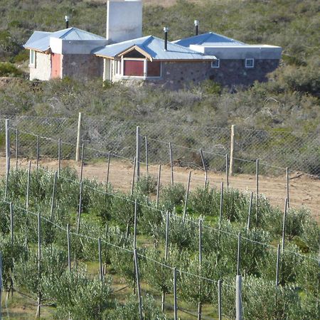 La Calandria Casa De Campo Villa Puerto Madryn Bagian luar foto