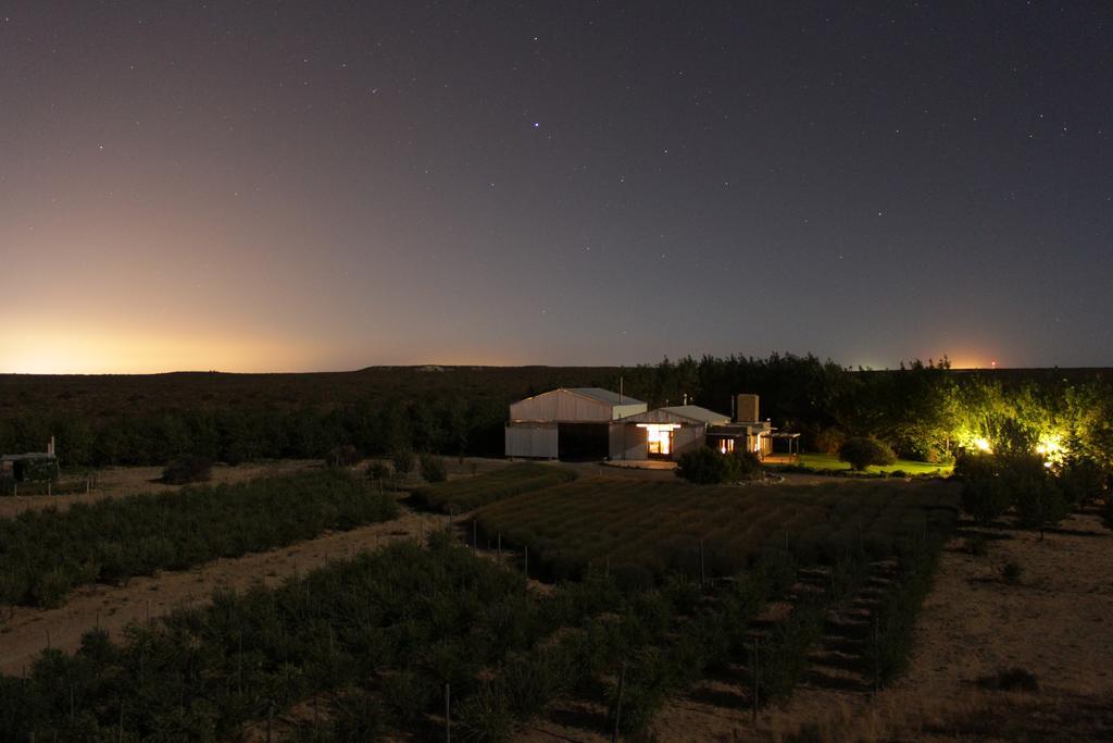 La Calandria Casa De Campo Villa Puerto Madryn Bagian luar foto