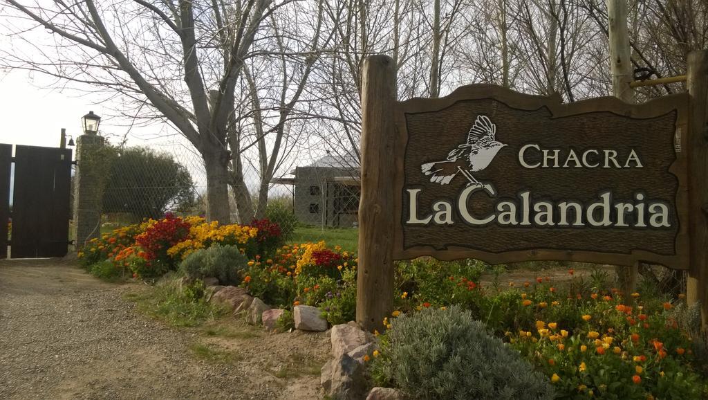 La Calandria Casa De Campo Villa Puerto Madryn Bagian luar foto