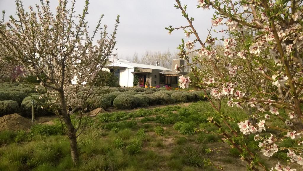 La Calandria Casa De Campo Villa Puerto Madryn Bagian luar foto