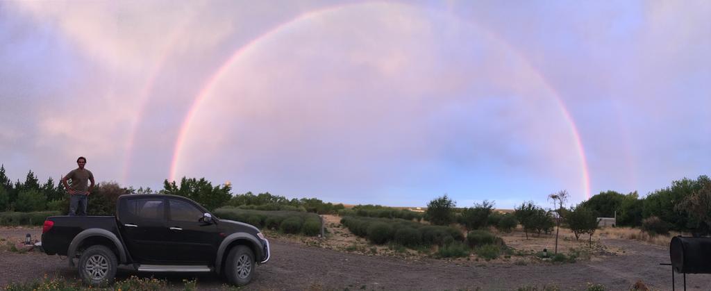 La Calandria Casa De Campo Villa Puerto Madryn Bagian luar foto